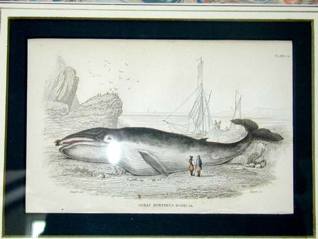 A Fine Set of Four 19th Century Hand Colored Whaling Prints published by W.H. Lizars, Edinburgh, 1837 — image 4