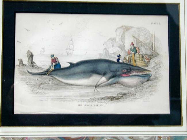 A Fine Set of Four 19th Century Hand Colored Whaling Prints published by W.H. Lizars, Edinburgh, 1837 — image 5