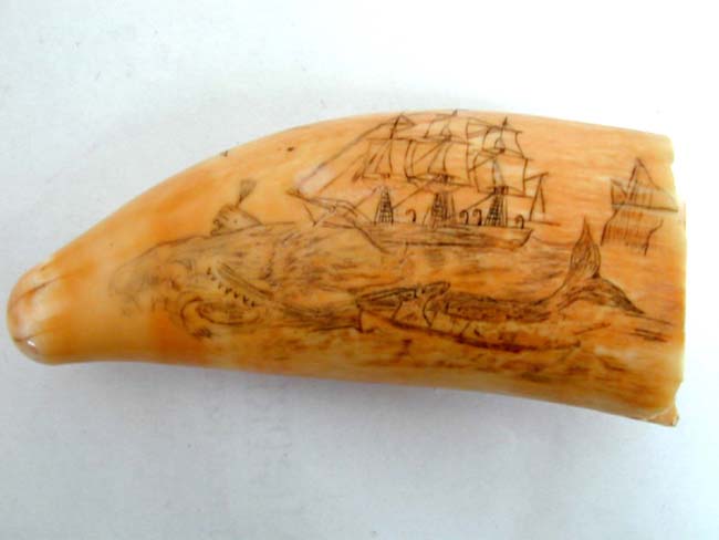 A Charming 19th Century American Scrimshawed Whale's Tooth depicting a whaling scene circa 1860.