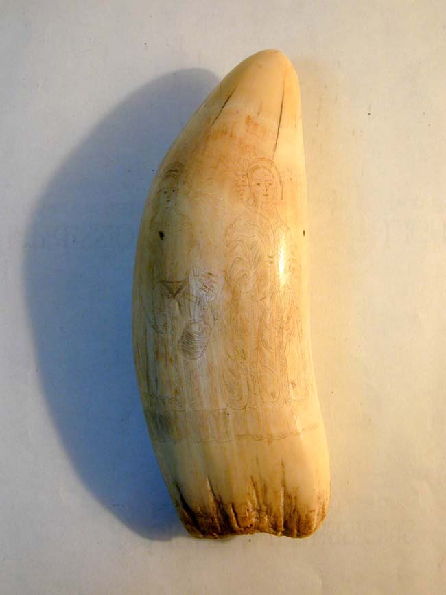 A Large 19th century Scrimshawed Whale's Tooth 8 3/8" Long Weighing 1 pound 15 1/2 ounces