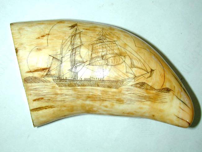 A Fine and large 19th Century American Scrimshawed Whale's Tooth with both sides depicting a whaling ship circa 1850