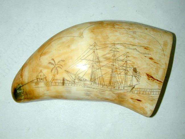 A Fine and large 19th Century American Scrimshawed Whale's Tooth with both sides depicting a whaling ship circa 1850 — image 2