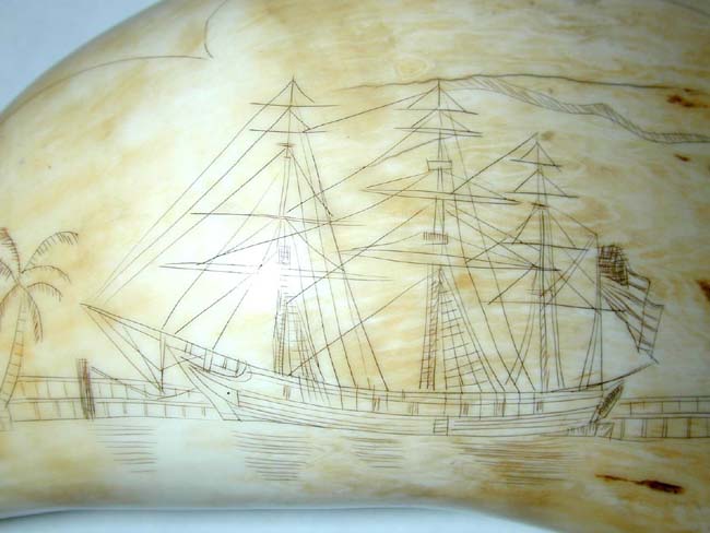 A Fine and large 19th Century American Scrimshawed Whale's Tooth with both sides depicting a whaling ship circa 1850 — image 6