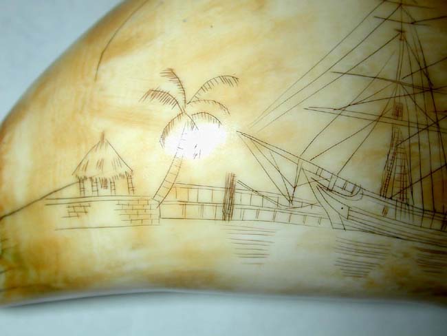 A Fine and large 19th Century American Scrimshawed Whale's Tooth with both sides depicting a whaling ship circa 1850 — image 3