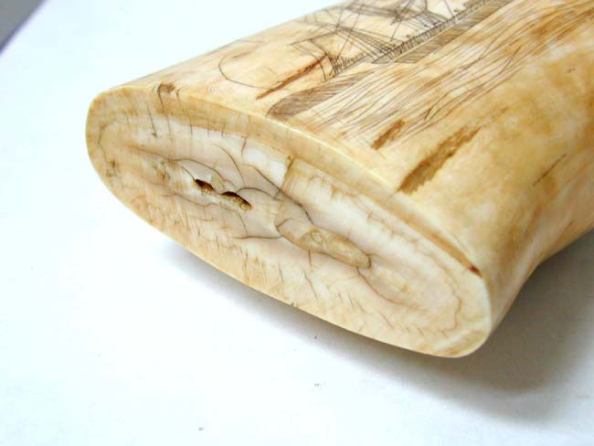 A Fine and large 19th Century American Scrimshawed Whale's Tooth with both sides depicting a whaling ship circa 1850 — image 5