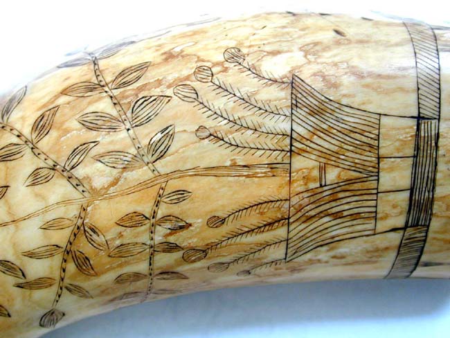 A Fine 19th Century American Scrimshawed Whale's Tooth With Wonderful Eagle and Shield circa 1850 — image 5