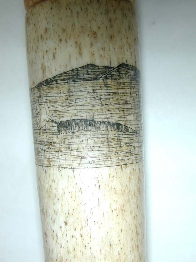 A Fine 19th century Whalebone Fid with Scrimshawed Whaling Scene — image 3
