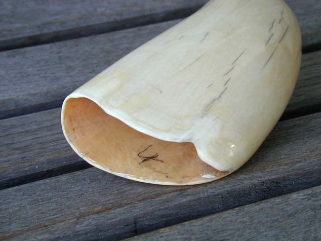 A 19th century Polished Sperm Whale's Tooth Measuring 8 3/8" and Weighing just under 1 1/2 Pounds — image 3