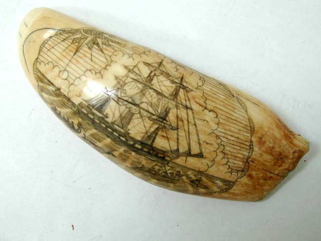 An Scrimshawed Whale's Tooth circa 1900-1920