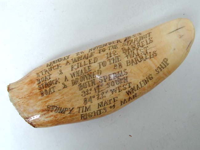 An Scrimshawed Whale's Tooth circa 1900-1920 — image 2