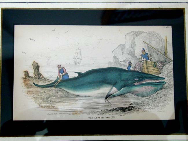 A Fine Set of 4 Whaling Prints Published by W. H. Lizars in 1837 — image 4