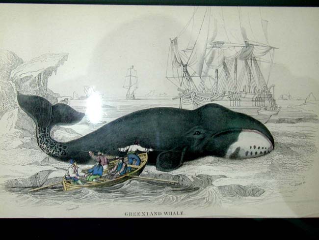 A Fine Set of 4 Whaling Prints Published by W. H. Lizars in 1837 — image 3