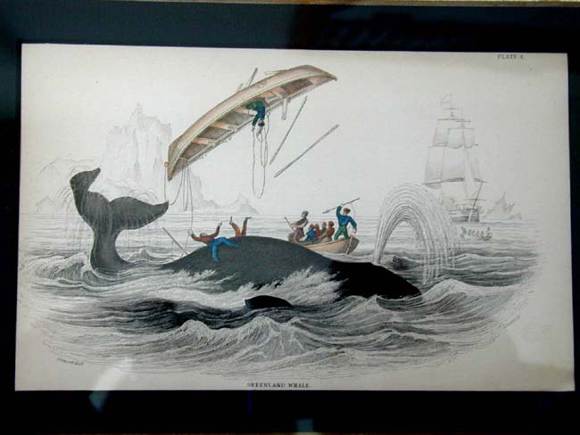A Fine Set of 4 Whaling Prints Published by W. H. Lizars in 1837 — image 2