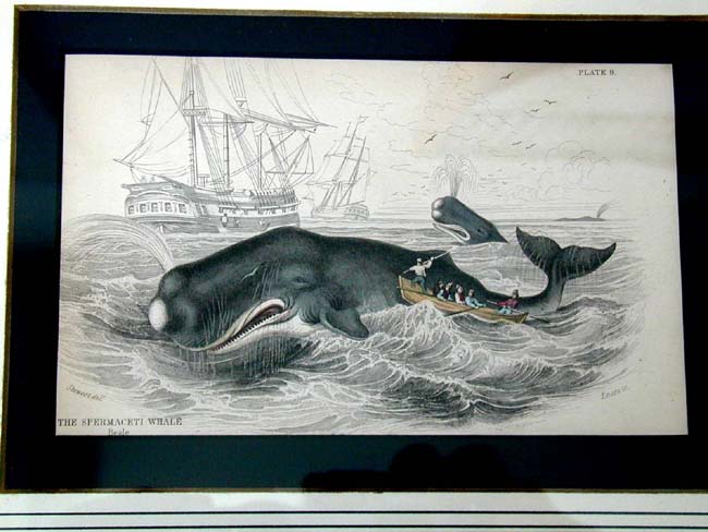 A Fine Set of 4 Whaling Prints Published by W. H. Lizars in 1837