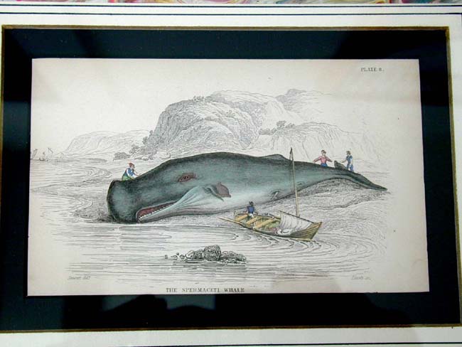A Fine Set of Four Original Hand Colored Whaling Prints Published by W. Lizars of Edinburg in 1837 — image 4