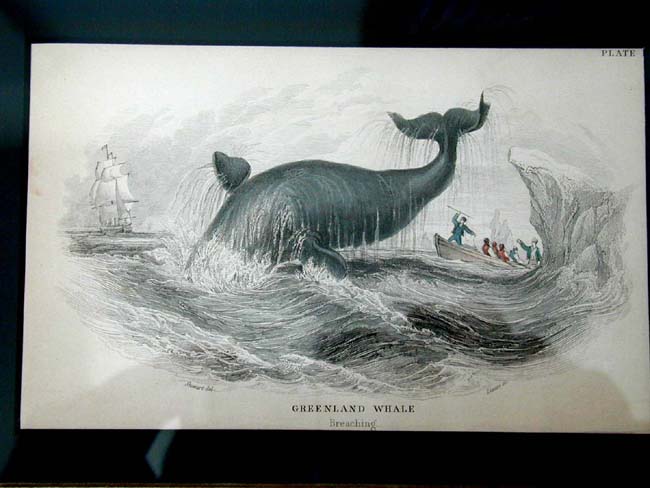 A Fine Set of Four Original Hand Colored Whaling Prints Published by W. Lizars of Edinburg in 1837 — image 3