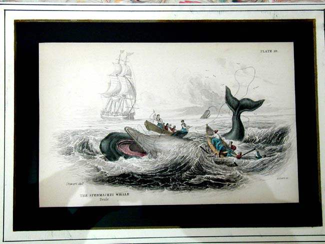 A Fine Set of Four Original Hand Colored Whaling Prints Published by W. Lizars of Edinburg in 1837