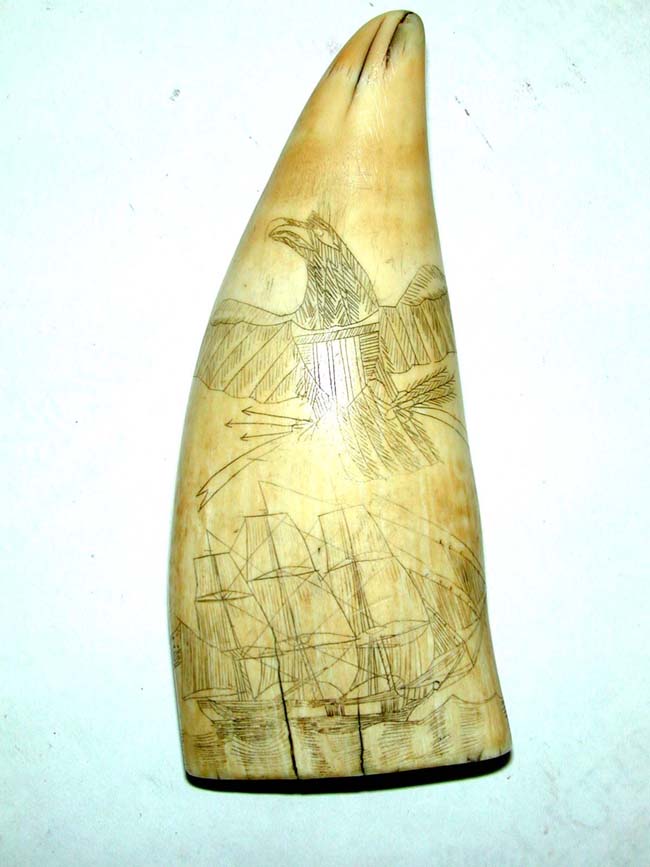 A Wonderful 19th century American Patriotic Scrimshawed Whale's Tooth