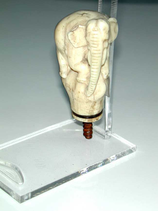 19th Century Elephant Ivory Cane Handle — image 2