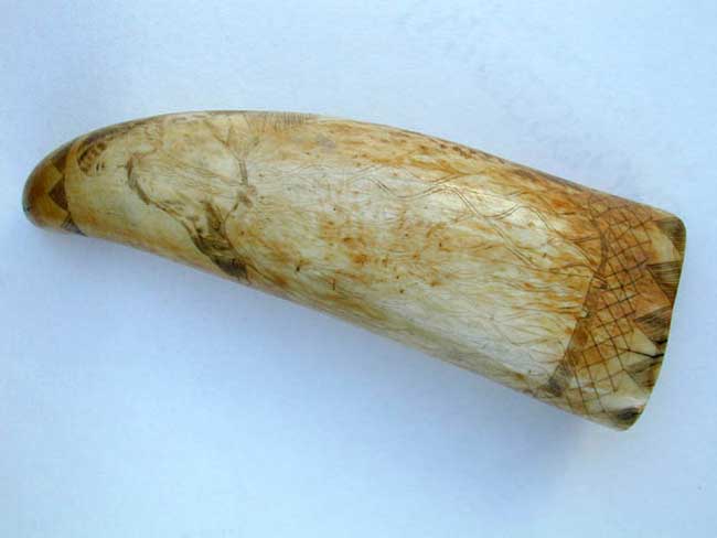 A 19th century Scrimshawed Whale's Tooth — image 2