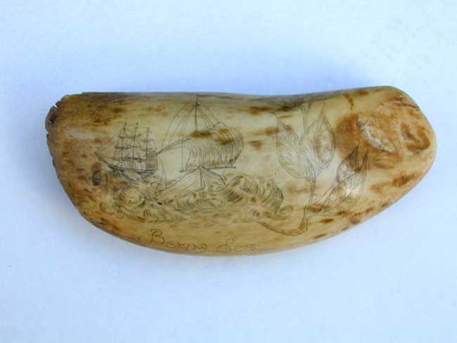 A 19th Century Scrimshawed Whale's Tooth Inscribed Bering Sea — image 2