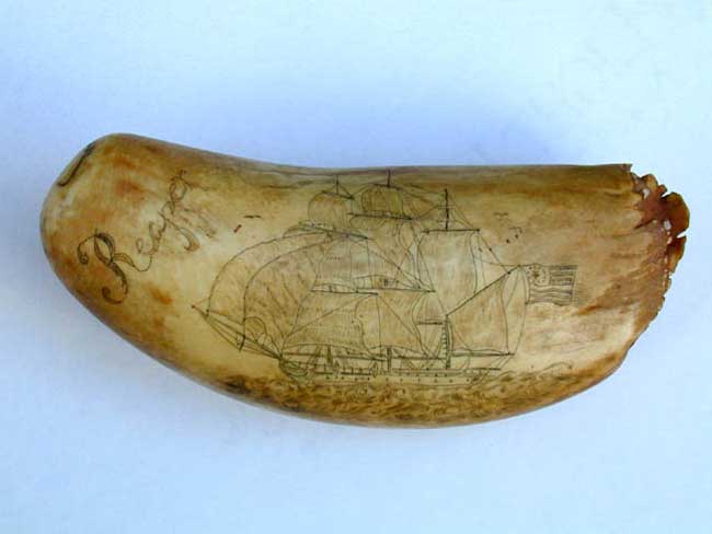 A 19th Century Scrimshawed Whale's Tooth Inscribed Bering Sea