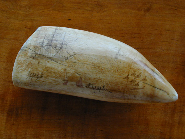 Fine and Large 19th Century Scrimshawed Whale's Tooth Circa 1830