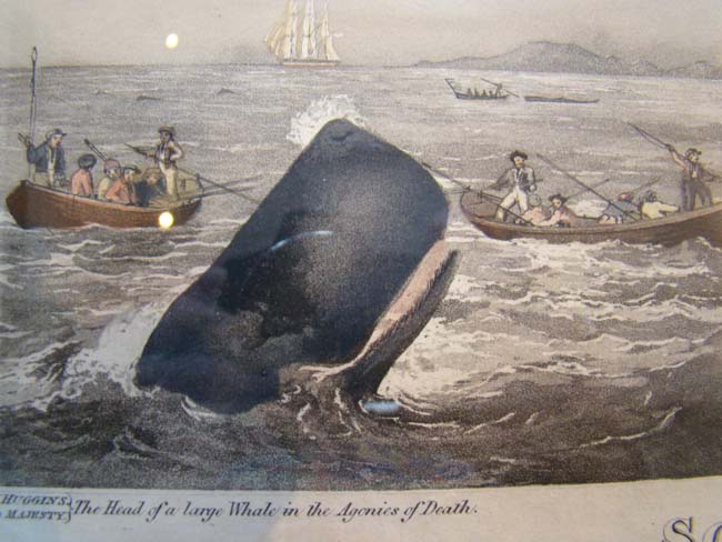 A wonderful hand colored engraving entitled "South Sea Whale Fishery" published in London Jan. 1, 1825 — image 4