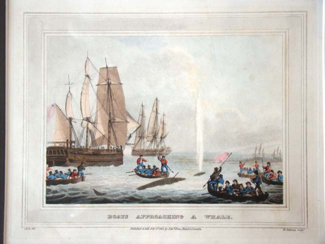A wonderful set of four early 19th century hand colored whaling engravings published in 1813 — image 4