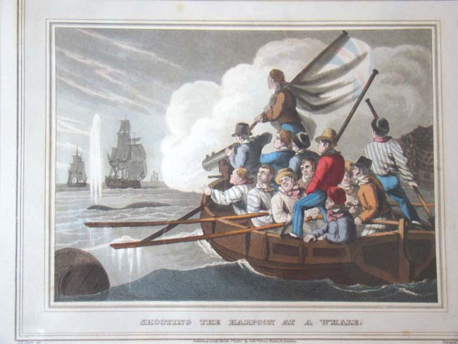 A wonderful set of four early 19th century hand colored whaling engravings published in 1813 — image 2