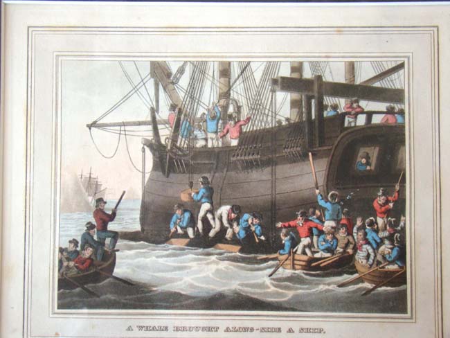 A wonderful set of four early 19th century hand colored whaling engravings published in 1813 — image 3