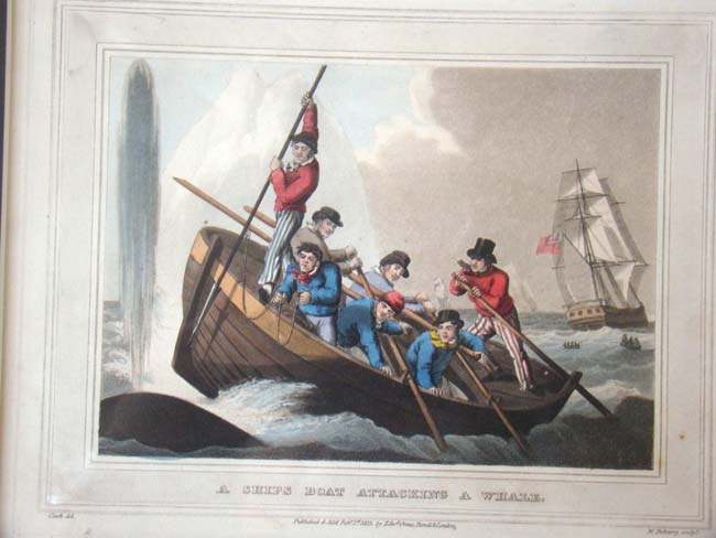 A wonderful set of four early 19th century hand colored whaling engravings published in 1813