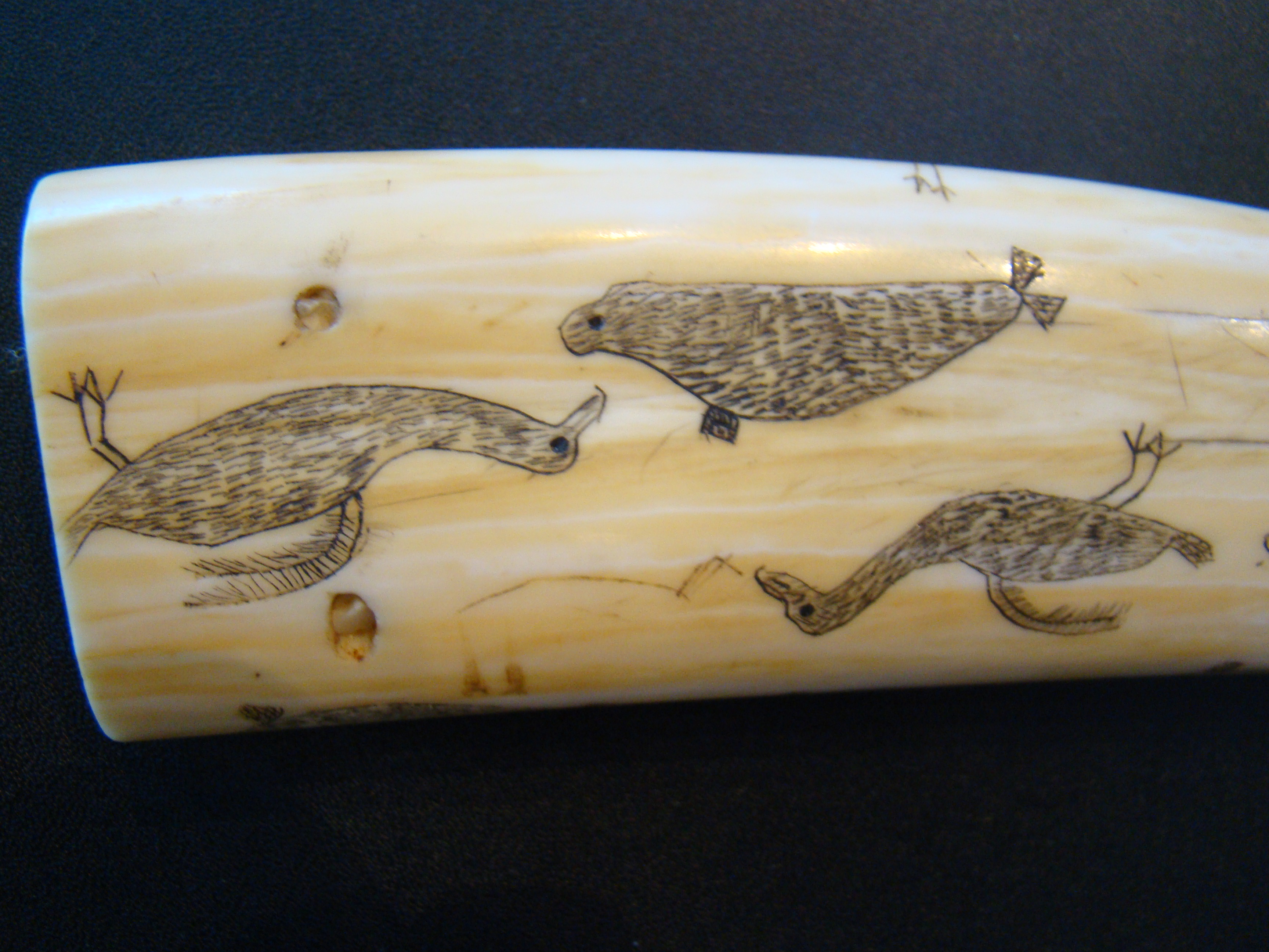 An exceptionally fine Inuit carved antique walrus tusk cribbage board — image 3