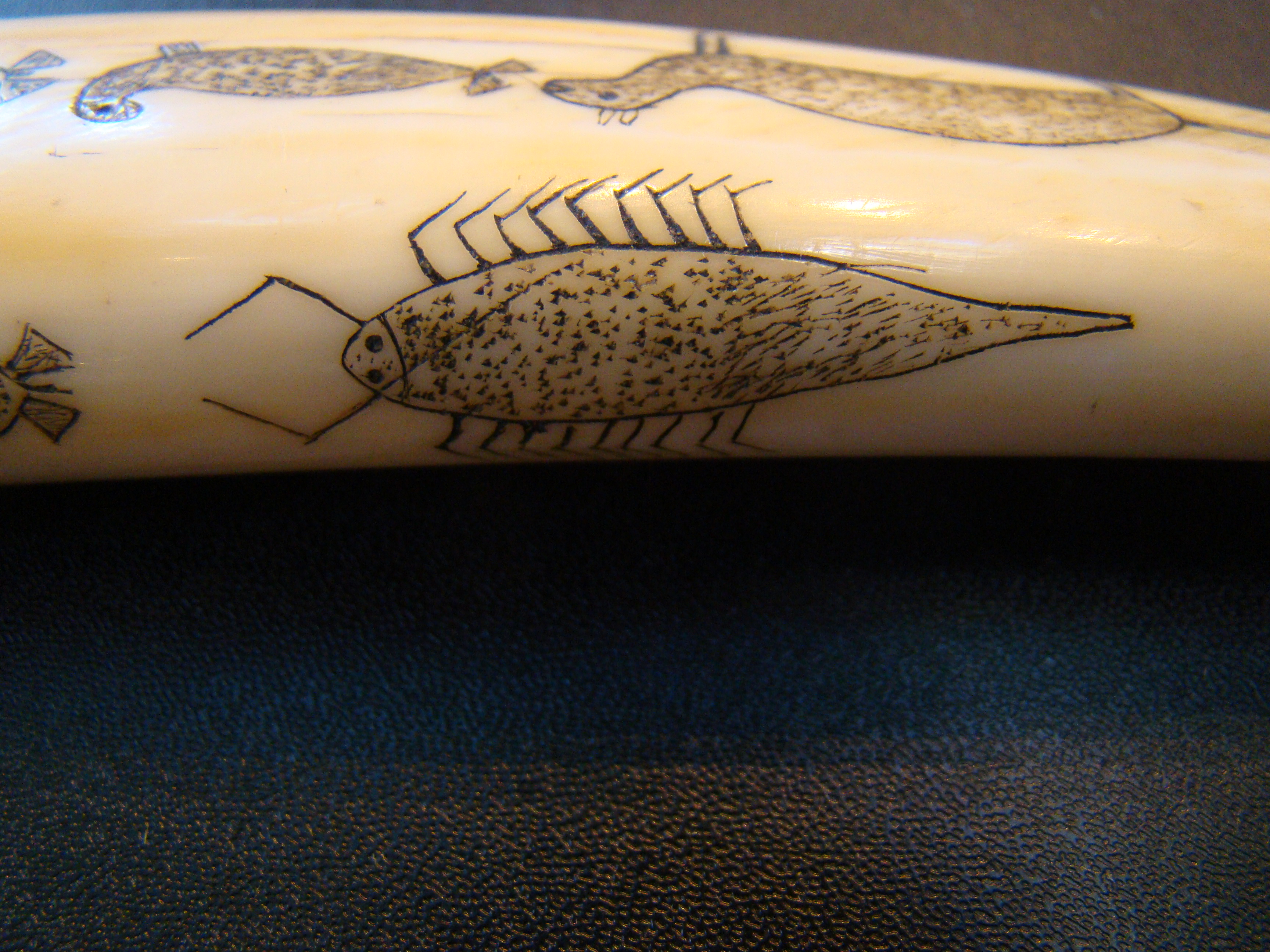 An exceptionally fine Inuit carved antique walrus tusk cribbage board — image 4