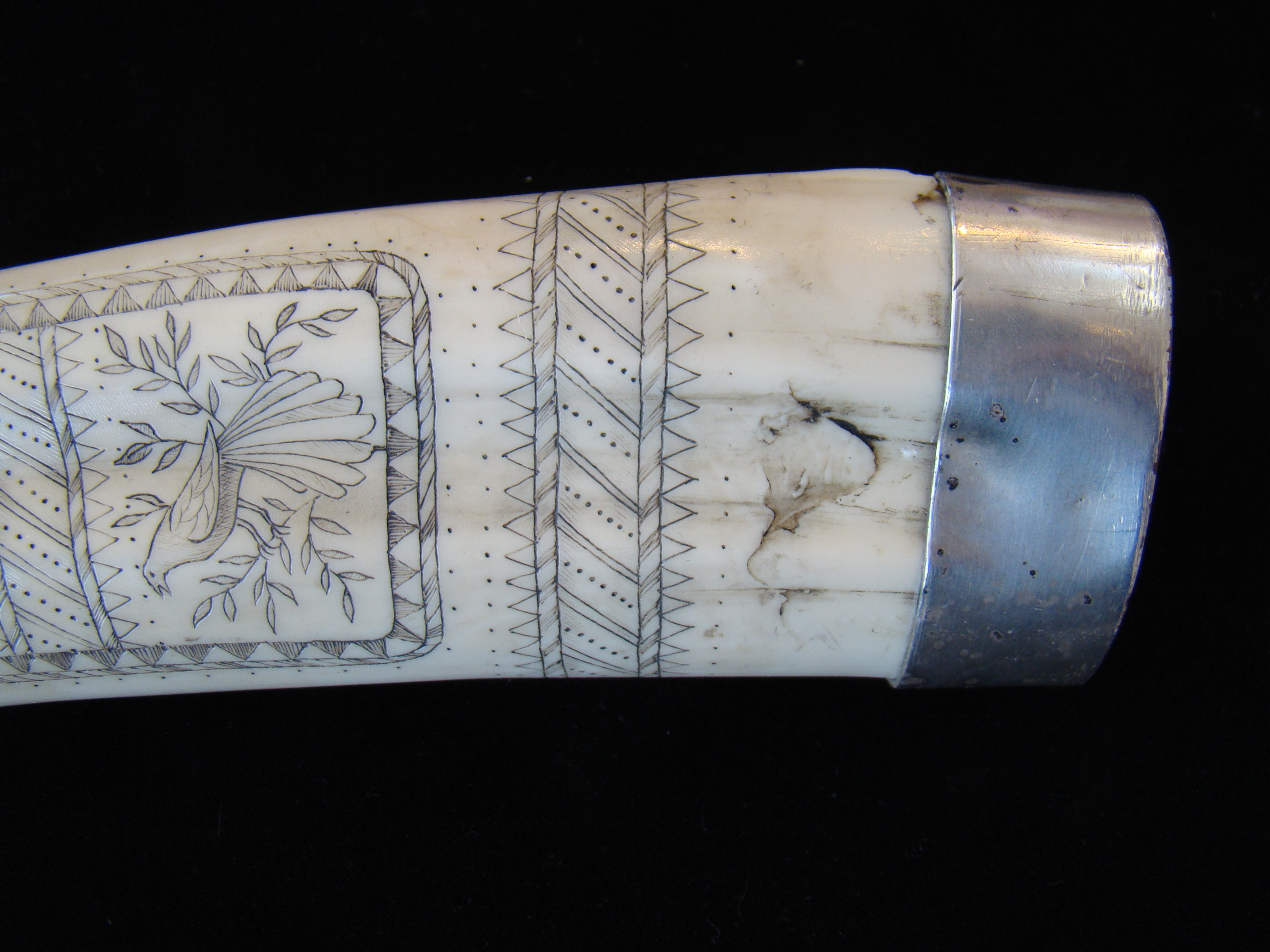 A scrimshawed walrus tusk with silver end cap — image 4