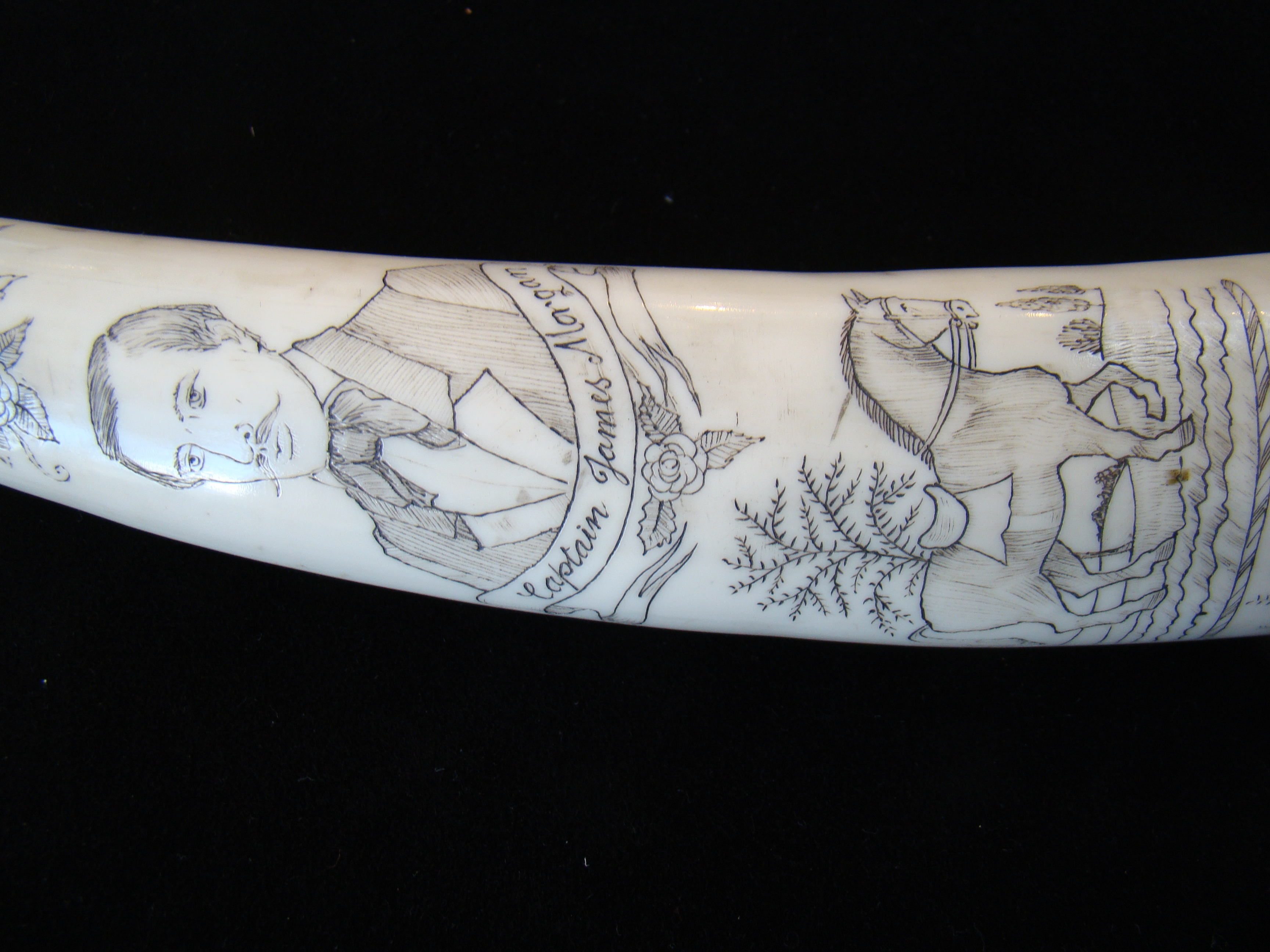 A scrimshawed walrus tusk with silver end cap — image 6