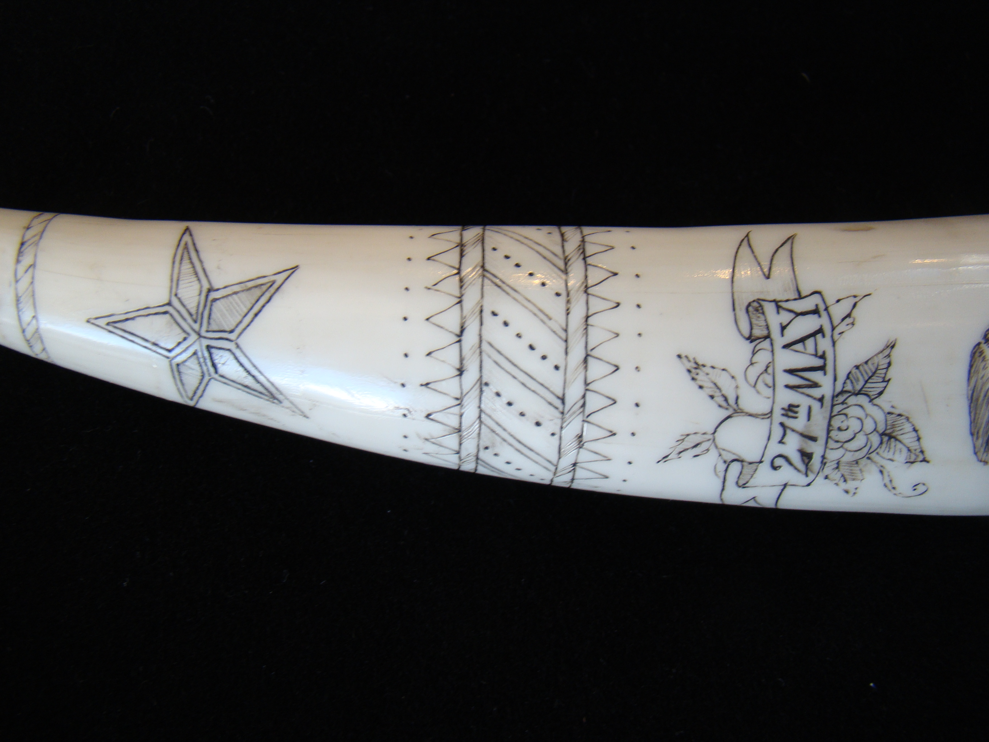 A scrimshawed walrus tusk with silver end cap — image 7