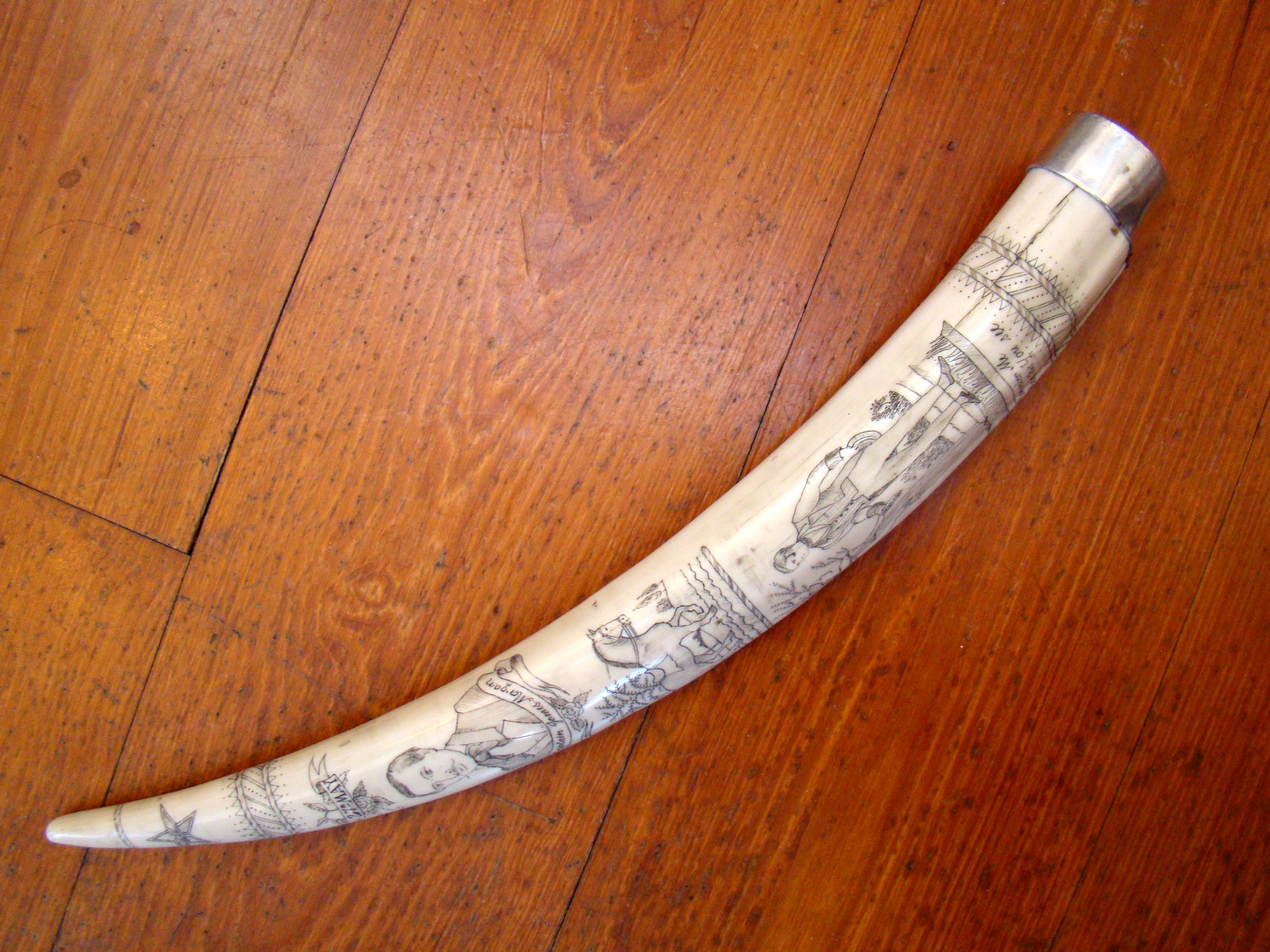 A scrimshawed walrus tusk with silver end cap — image 2