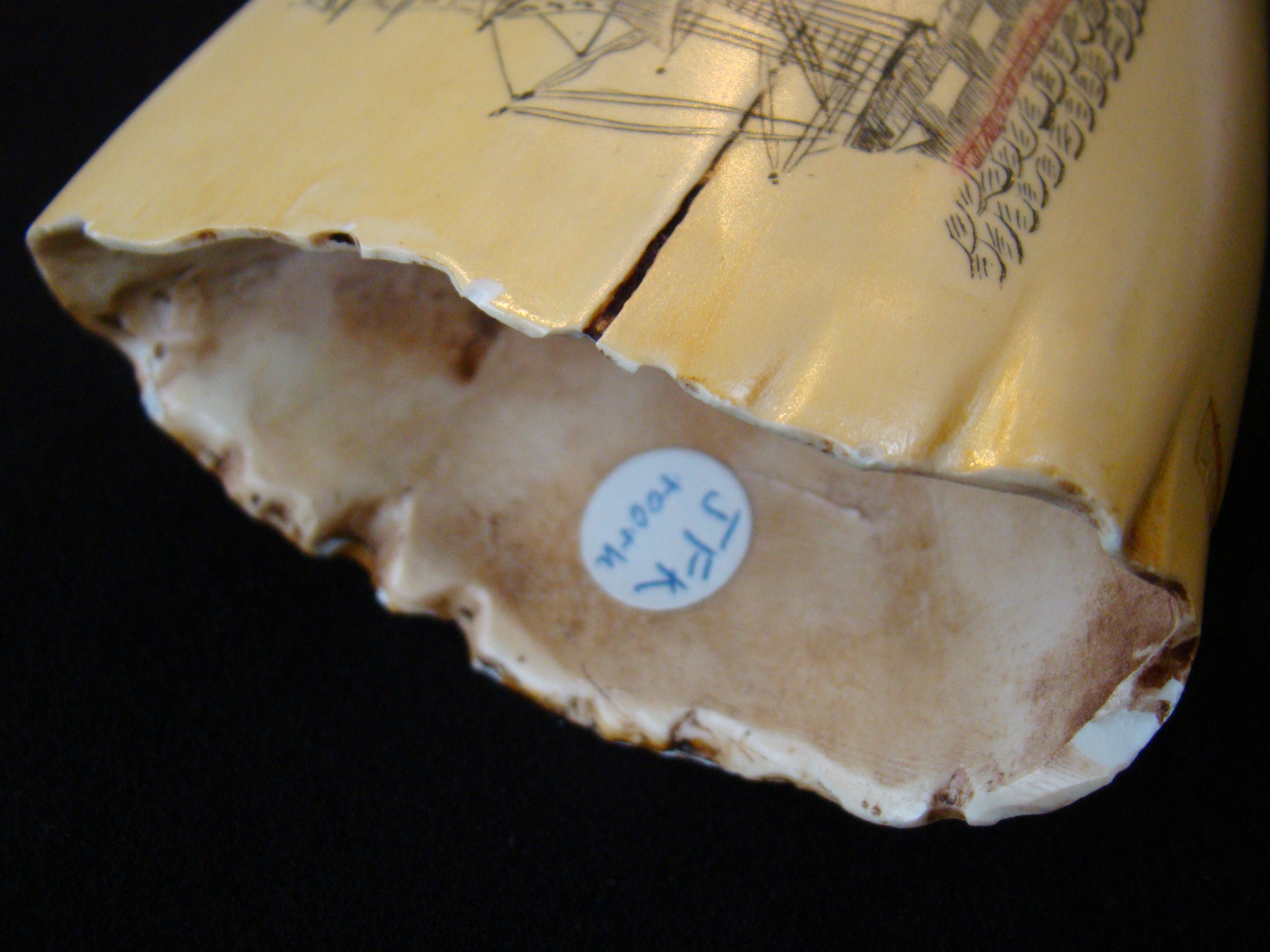A very fine replica of a scrimshawed whale's tooth in the JOHN F. KENNEDY collection — image 3