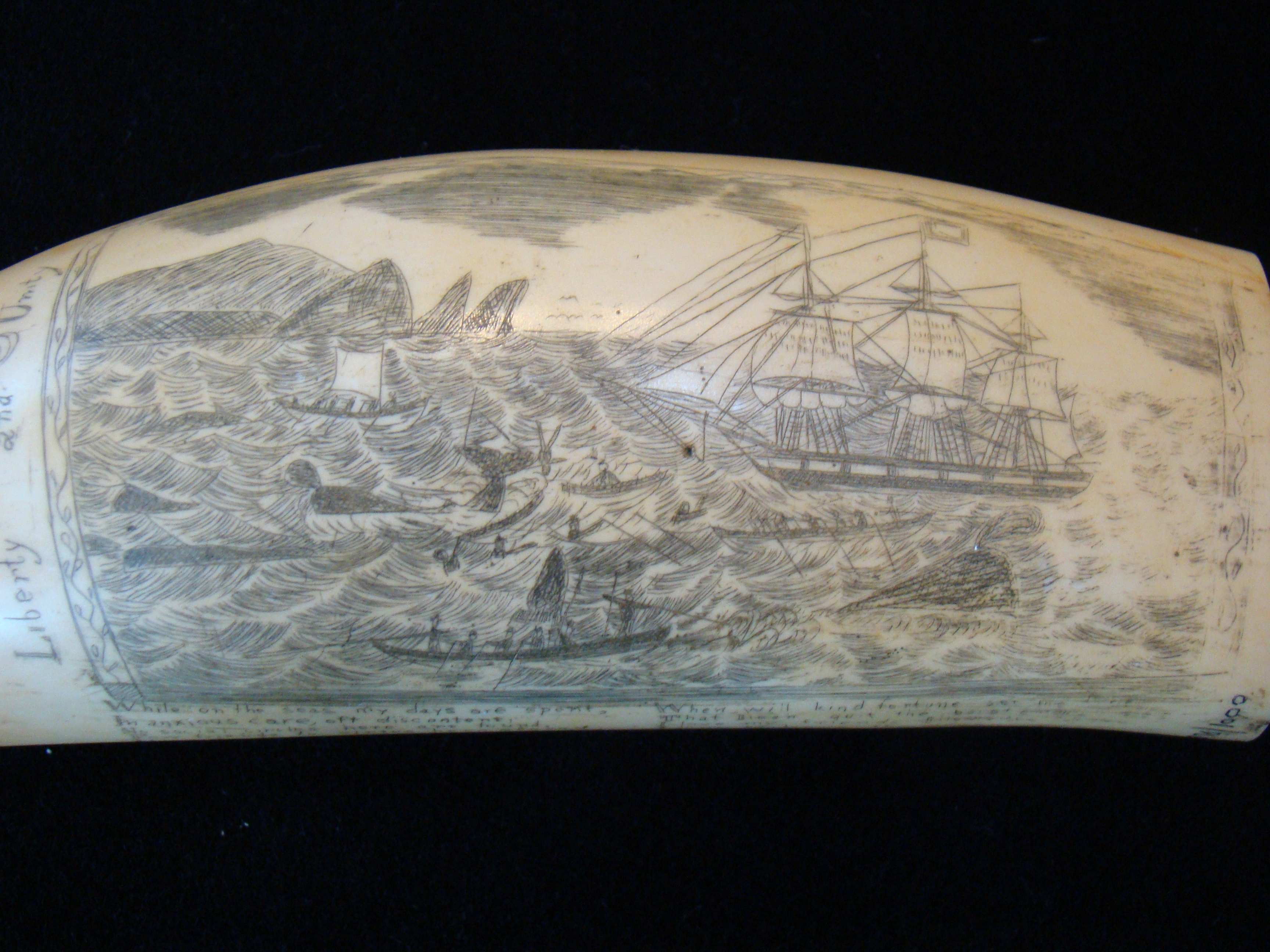 A fabulous resin repica of a famous 19th century whale's tooth entitled "Liberty & Unity" — image 4