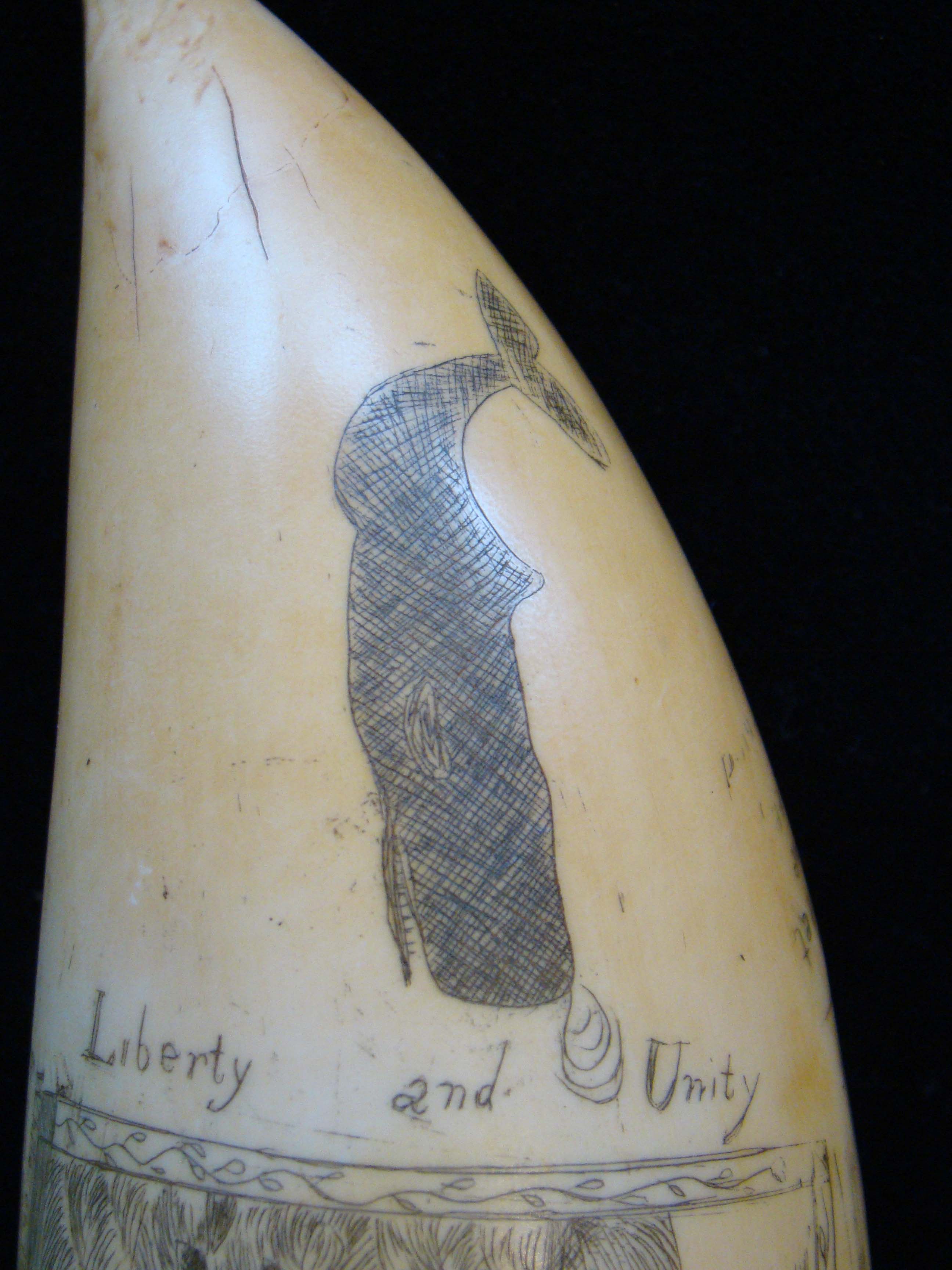 A fabulous resin repica of a famous 19th century whale's tooth entitled "Liberty & Unity"