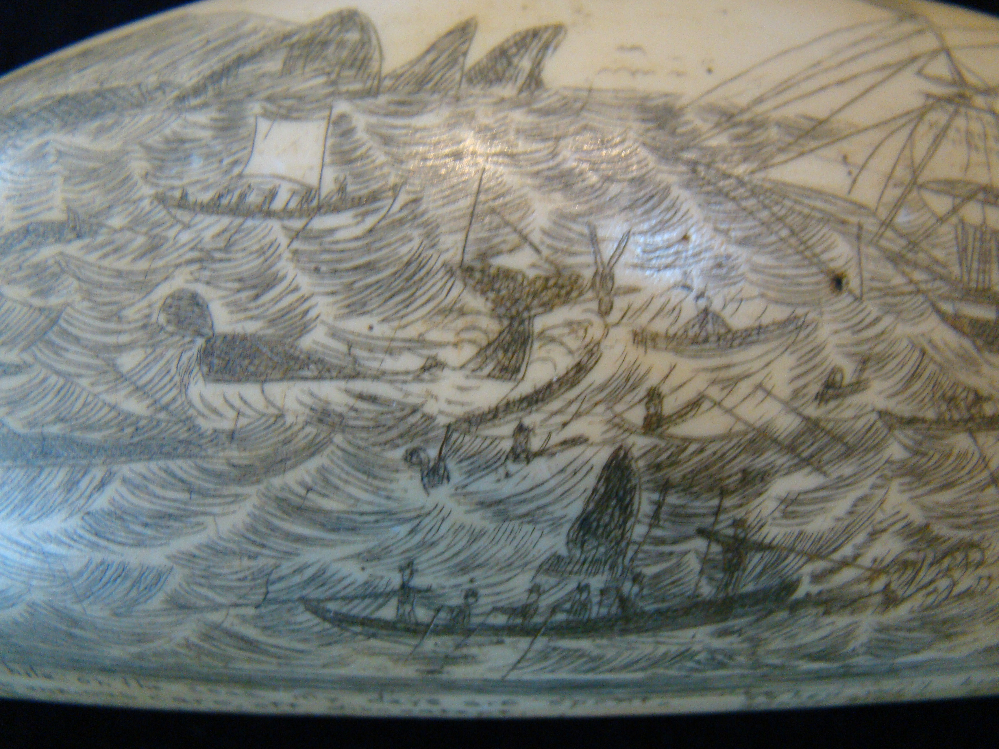 A fabulous resin repica of a famous 19th century whale's tooth entitled "Liberty & Unity" — image 5
