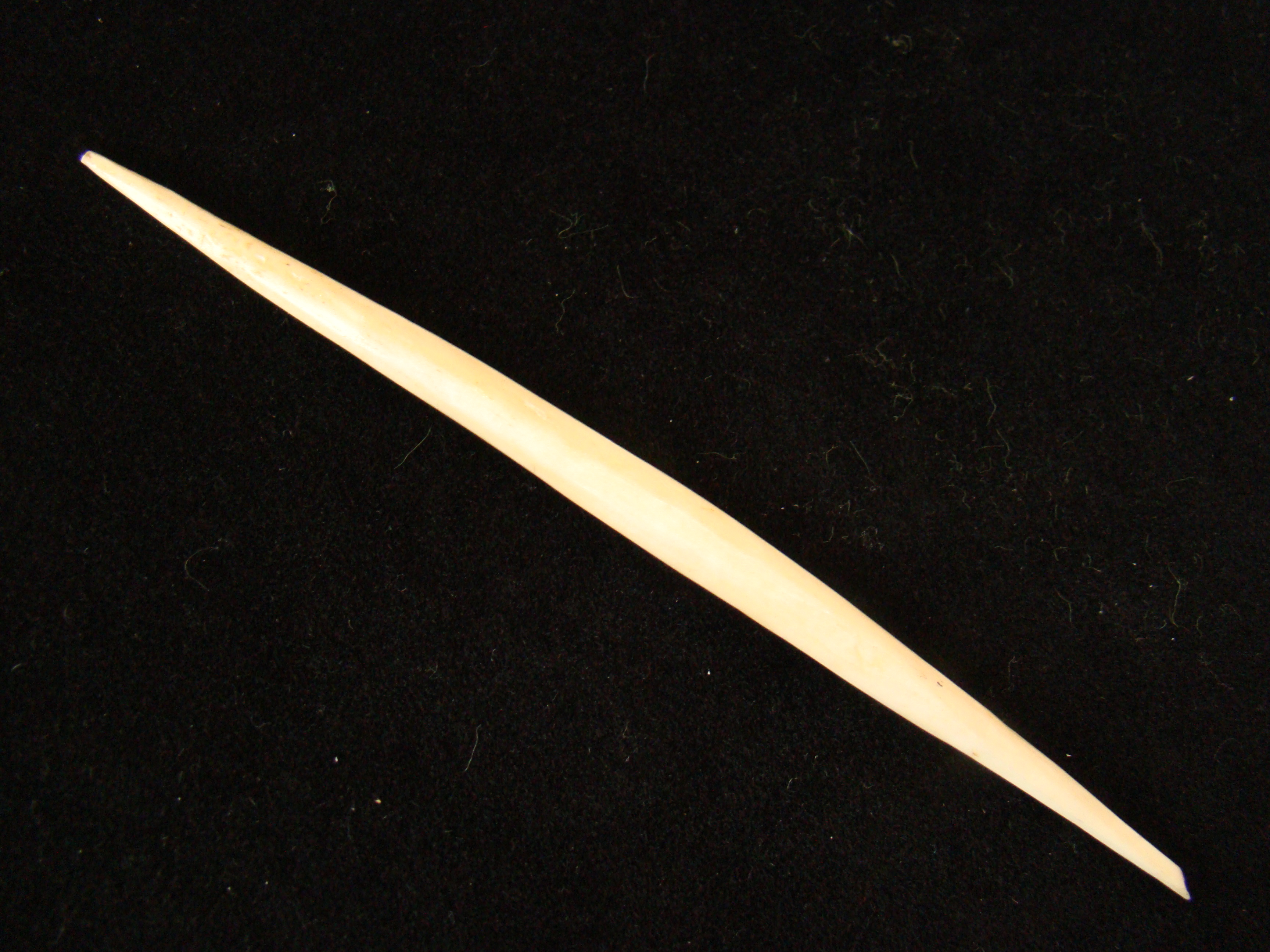 A 19th century double ended whalebone bodkin or fid