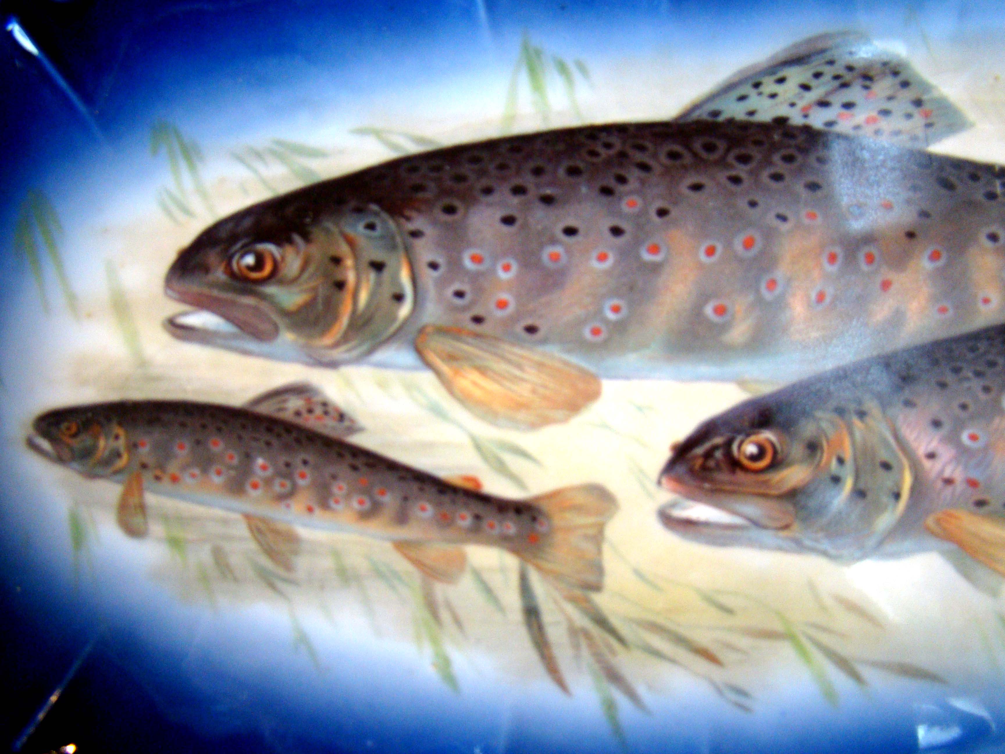 A spectacular and complete fish service for 12 made in Bavaria between 1890-1910 — image 3