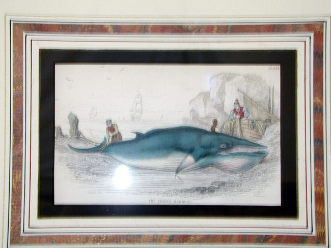 Wonderful set of 4 Whaling Prints Published in 1837 — image 3