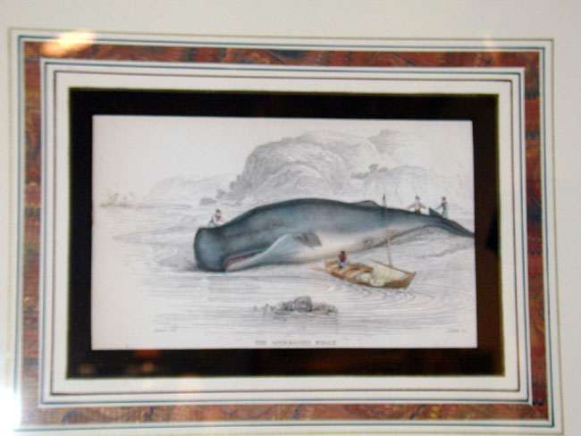 Wonderful set of 4 Whaling Prints Published in 1837 — image 4