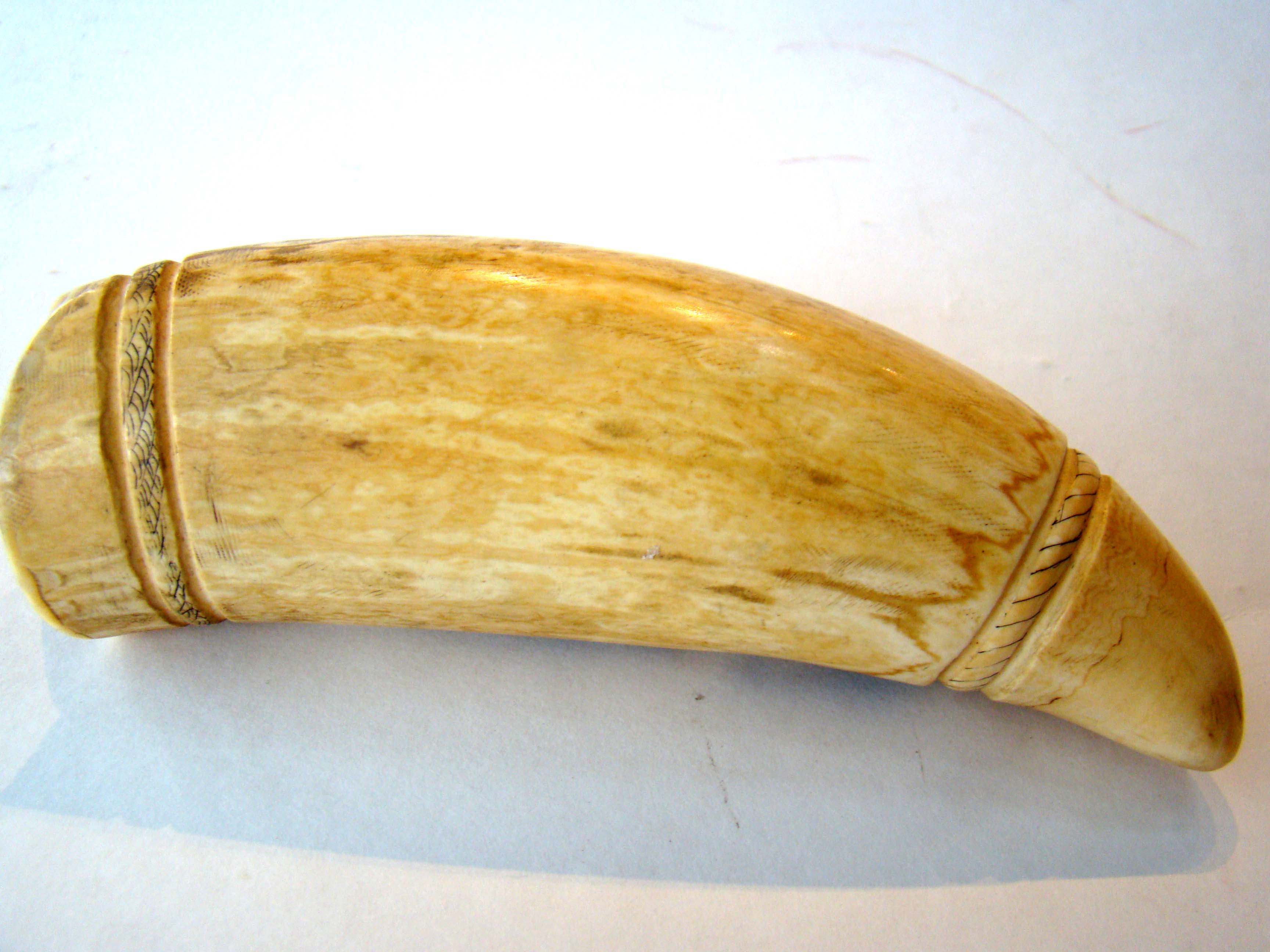 A carved and engraved whale's tooth depicting "New Bedford in 1810". 20th century — image 2