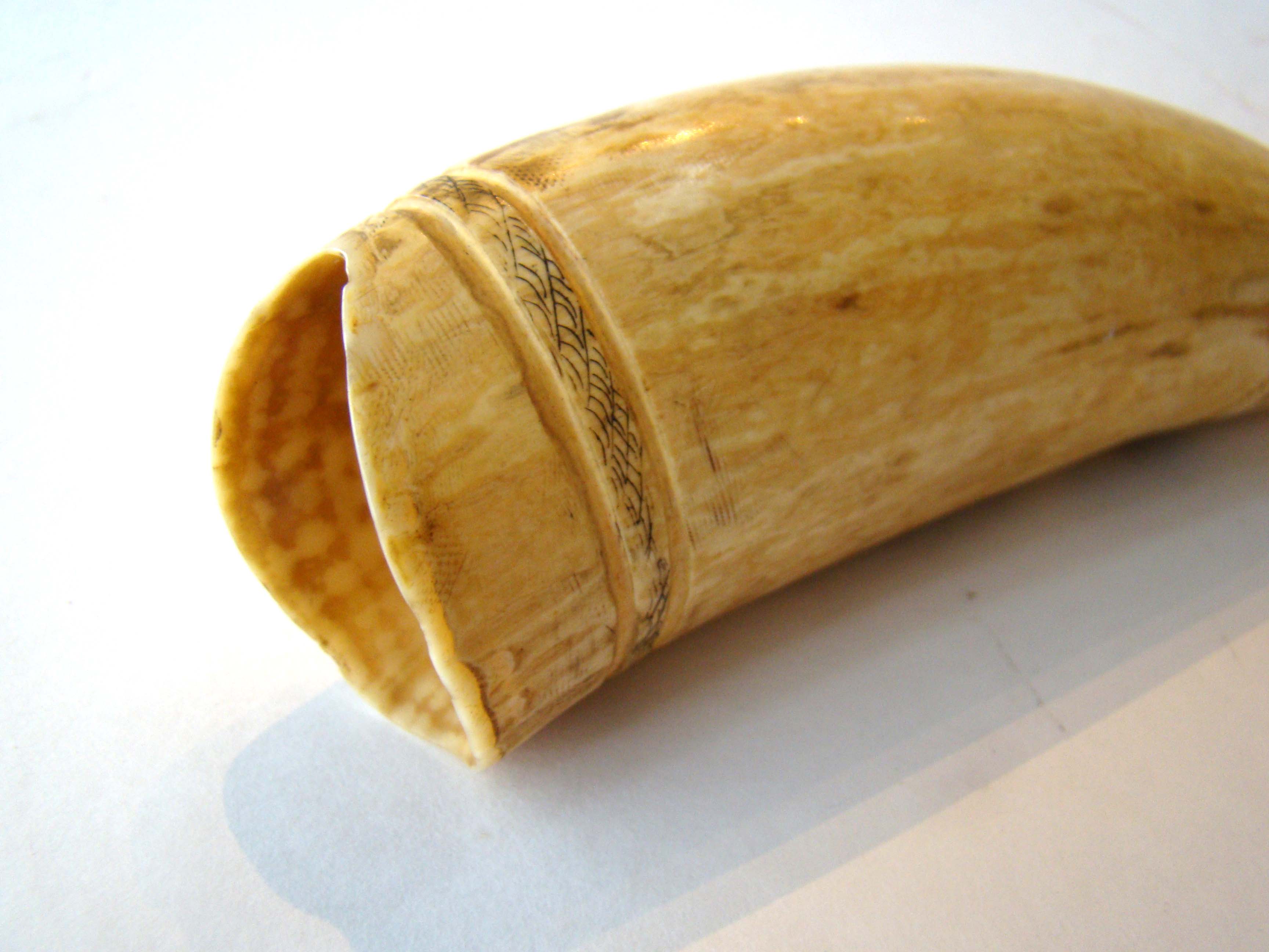 A carved and engraved whale's tooth depicting "New Bedford in 1810". 20th century — image 3