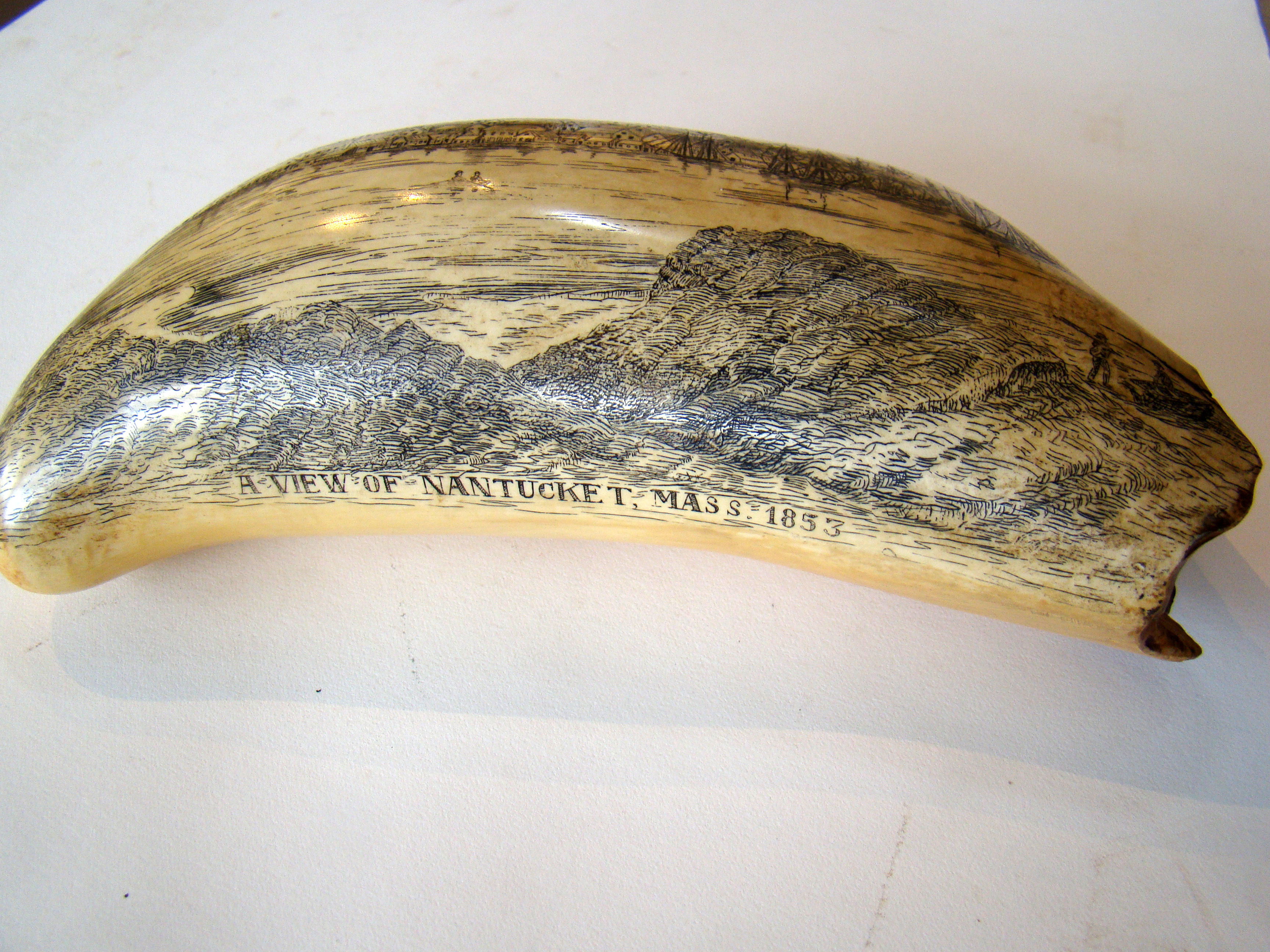 A FABULOUS, probably faux, scrimshaw whales tooth, depicting "A View of Nantucket, 1853"