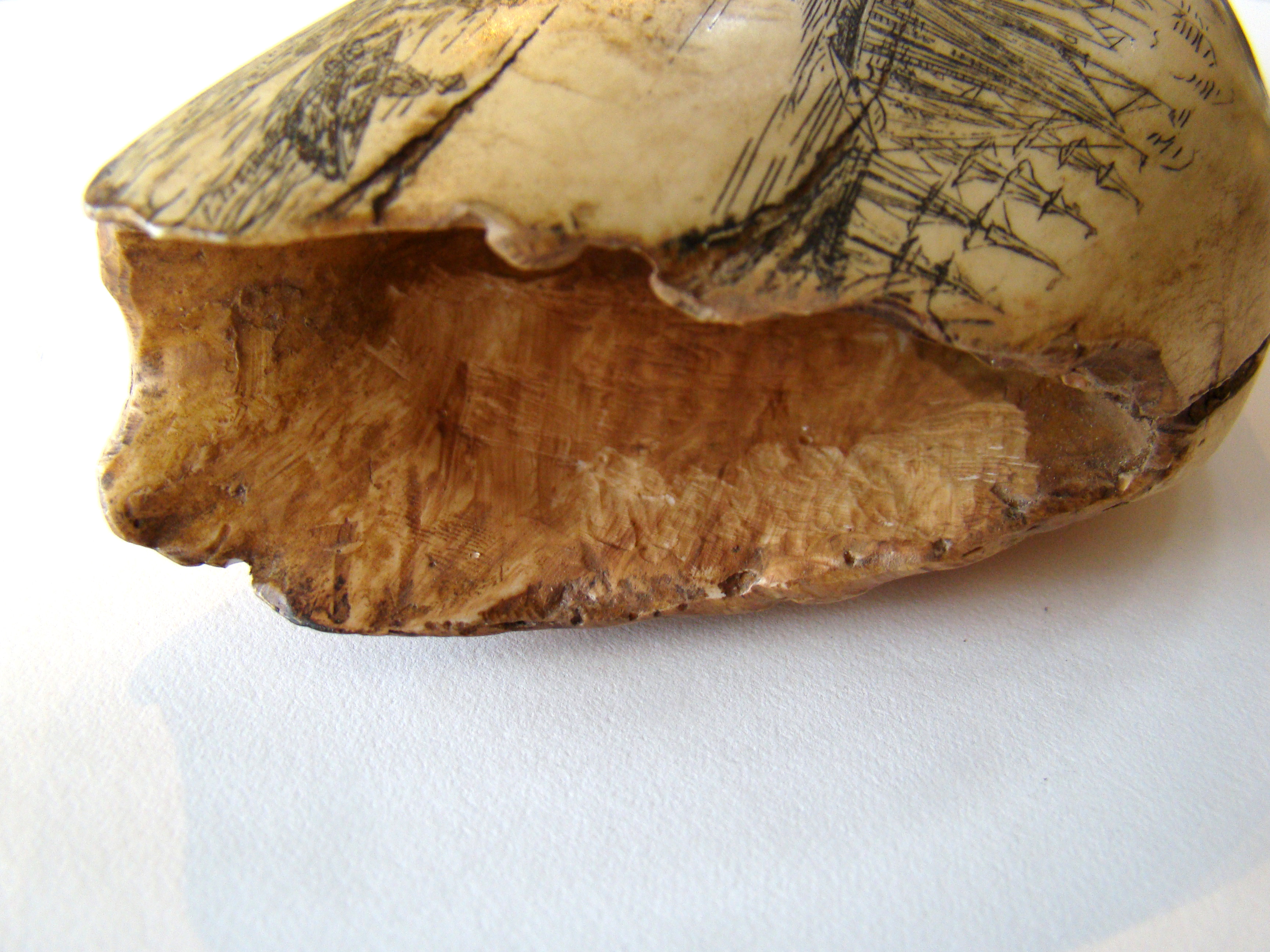 A FABULOUS, probably faux, scrimshaw whales tooth, depicting "A View of Nantucket, 1853" — image 2
